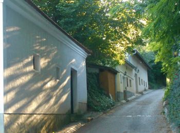 Percorso A piedi Gemeinde Mistelbach - Frättingsdorf, Rundwanderweg zur Mistelquelle - Photo