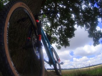 Percorso Mountainbike Fleurus - VTT des 3 pro - Photo
