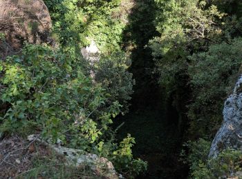 Tocht Stappen Le Beausset - Les 4 frères - Photo