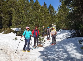 Tocht Sneeuwschoenen Chamrousse - achard SN - Photo