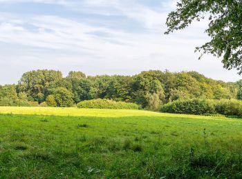 Randonnée A pied Horn-Bad Meinberg - Norderteich-Rundwanderweg [Billerbeck / Entenkrug] - Photo