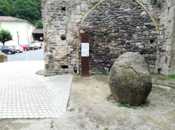 Randonnée A pied Burlats - Chemin des Fontaines - Photo