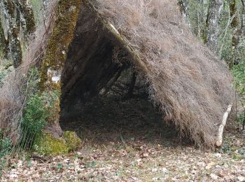 Percorso Marcia Valojoulx - Le petit théâtre de la forêt  - Photo