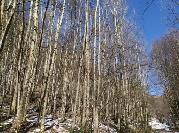 Tocht Stappen Mont-Saint-Martin - Mont Saint Martin - Photo