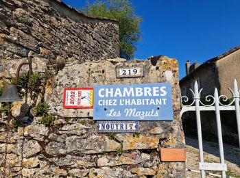 Excursión Senderismo Bouziès - Étape 4 Bouziès  Les Mazuts  - Photo