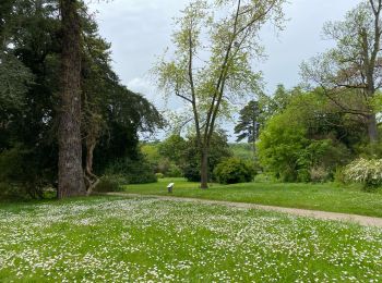 Trail sport Saint-Ouen-sur-Seine - Sob Meudon  - Photo