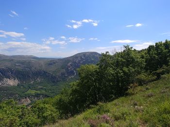 Tocht Stappen Cipières - gourdon cavilore - Photo