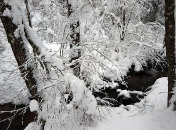 Randonnée Raquettes à neige Basse-sur-le-Rupt - 20210102_raq_Planois_Chalet-des-Charmes - Photo