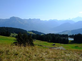 Excursión A pie Combloux - Randonnée la Croix des Salles - Photo