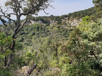 Tour Wandern Bollène - Barry - Photo