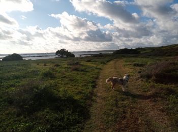 Randonnée Marche Saint-François - Baie Olive - Anse à la Croix - Photo