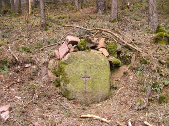 Excursión A pie Biebergemünd - Spessartbogen Zubringer Roßbach - Breitenborn - Photo