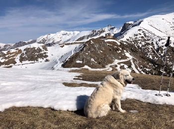 Randonnée Raquettes à neige Tende - Col de Tende - Photo