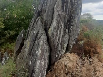 Excursión Senderismo Bon Repos sur Blavet - Gorges de Daoulas - Photo