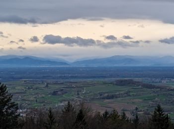 Tour Wandern Lahr/Schwarzwald - suuntoapp-Hiking-2024-04-01T08-10-15Z - Photo