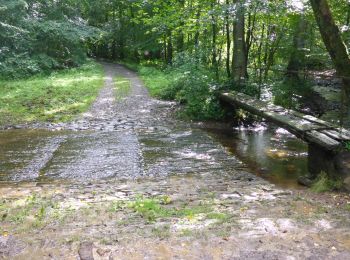 Tocht Stappen Saint-Hubert - RB-Lu-26_Saint-Hubert_via-racc-2 - Photo