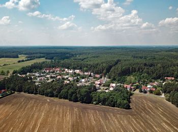 Randonnée A pied Lauta - Rundweg um Lauta - Gelber Punkt - Photo