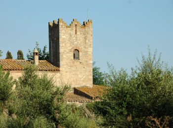 Trail On foot Castell-Platja d'Aro - SL-C 30 Roques Martines - Photo