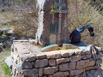 Excursión Senderismo Corrençon-en-Vercors - Corrençon en Vercors (le 45E parallèle) - Photo