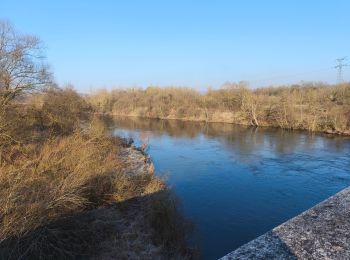 Randonnée Marche Neuves-Maisons - auda - Photo