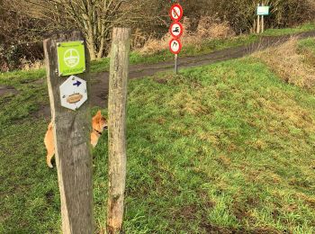 Trail Walking Mechelen - as adventure trail - Mechels Broek - Photo