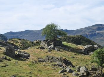 Tocht Te voet Bagnères-de-Bigorre - Le Lac de Peyrelade - Photo