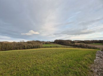 Tour Wandern Maarkedal - Flemish Ardennes Challenge - Photo