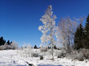 Randonnée Raquettes à neige Saint-François-de-Sales - Croix des Bergers refuge de la plate en boucle  - Photo