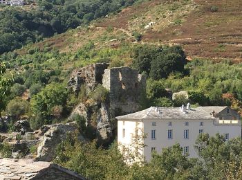 Tocht Te voet Brando - Monte Stello - Photo