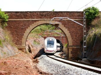 Trail On foot Manresa - M1 - Itinerari El Collbaix - Photo