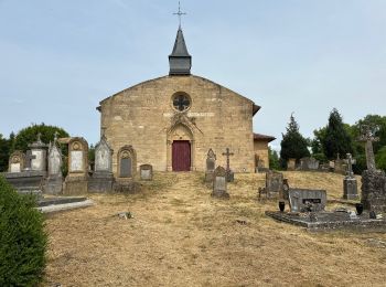 Excursión Senderismo Marville - Marville étang 14 km - Photo