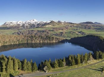 Tour Wandern Besse-et-Saint-Anastaise - Besse_Couze_Pavin_1 - Photo