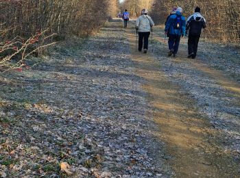 Tour Wandern Maidières - les 3 sapins puvenelle - Photo