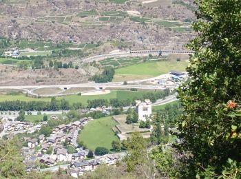 Trail Walking Aymavilles - sentier nature - Photo