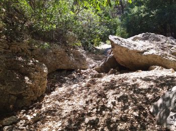 Tocht Stappen Ollioules - 83 grotte st Martin destel - Photo