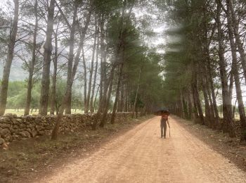 Tocht Stappen Ulìana/Oliena - Tiscali - Photo