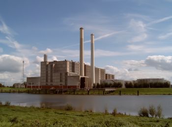 Tocht Te voet Zwolle - WNW IJsseldelta - Zandhove -groene route - Photo