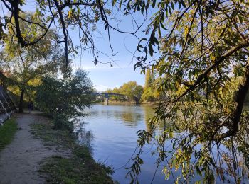 Percorso Marcia Fontenay-sous-Bois - Les bords de Marne à Bry sur Marne - Photo