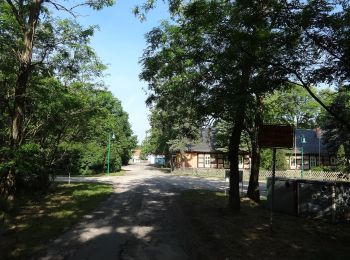 Randonnée A pied Zossen - Rundwanderweg um den Großen und kleinen Zeschsee - Photo