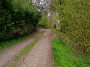 Tocht Stappen Colmar - Entre l'Ill et la forêt  - Photo