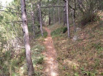 Trail Walking Sisteron - 05 mollard zel - Photo