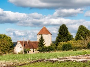 Excursión Senderismo Rémalard en Perche - Sur les pas du Conquérant 12,0 Km - Photo