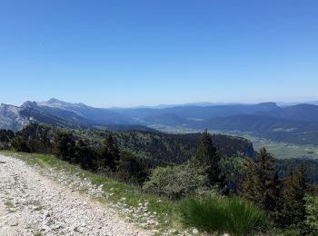 Excursión Senderismo Saint-Nizier-du-Moucherotte - Le Moucherotte par le Pas de la Bergère - Photo