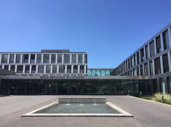 Tocht Te voet Lausanne - Le chemin des fontaines des Bois du Jorat - Photo