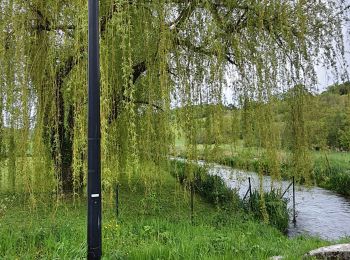 Randonnée Marche Touffreville - Touffreville - Rosay sur Lieure - Photo