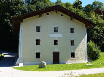 Tour Zu Fuß Marktgemeinde Fieberbrunn - Fieberbrunn - Hochkogel - Photo