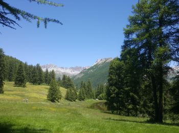 Tocht Sleeën Cervières - refuge Les Fonts à Chalp - Photo