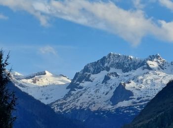 Tour Wandern Gouaux-de-Larboust - chemin village D'Oo - Photo