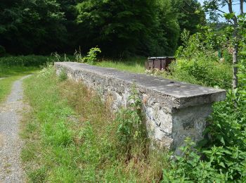 Tocht Te voet Schöffengrund - Rundwanderweg Schwalbach - Niederquembach - Photo