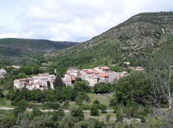 Excursión Senderismo Blandas - Vissec / Moulin de la Foux - Photo